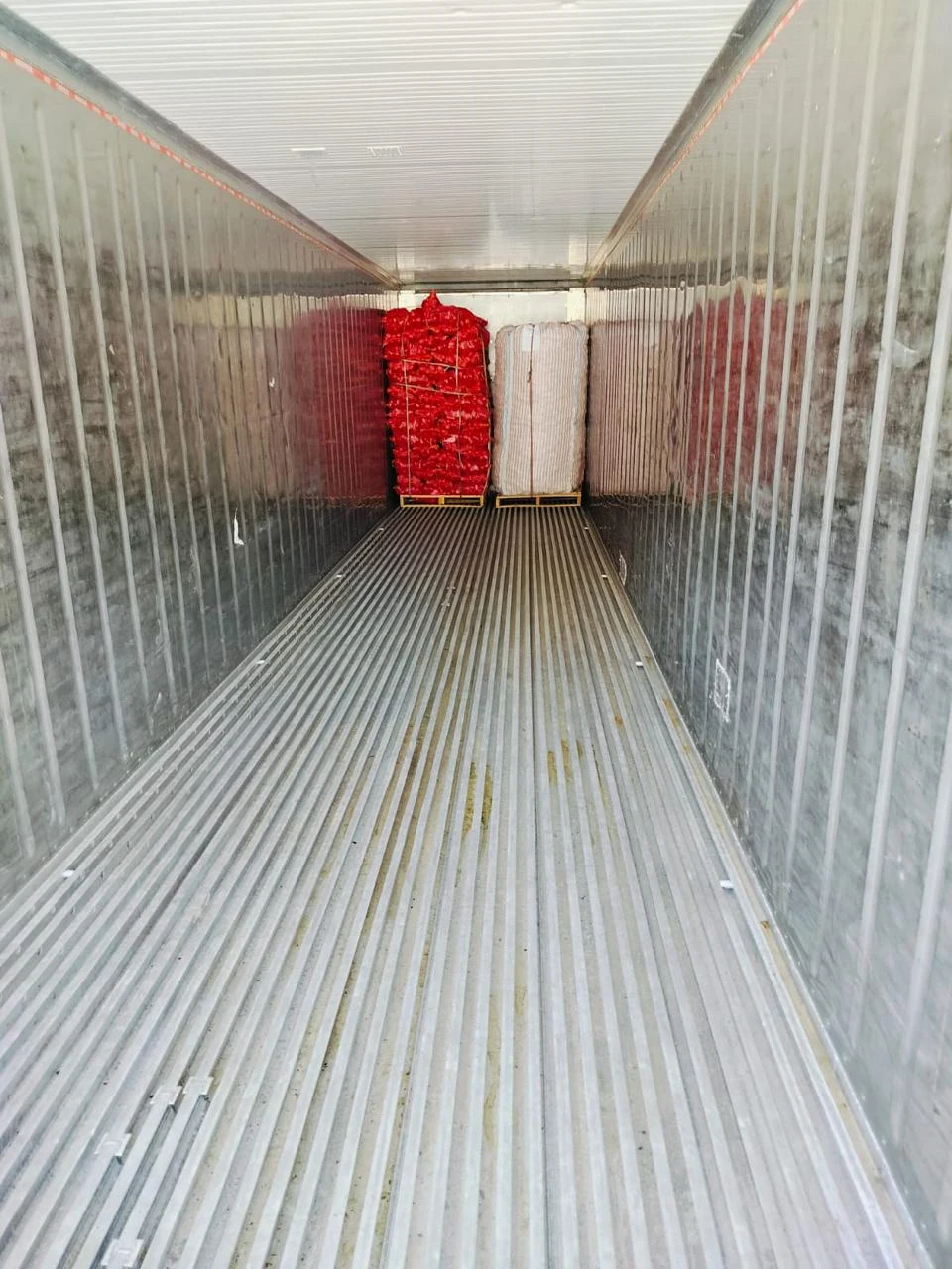Container loading for Egyptian onion exports