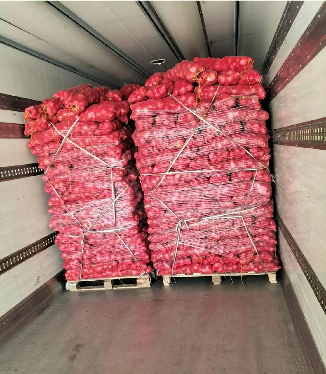 Egyptian onion export packing and preparation