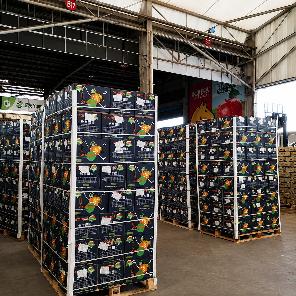 Reefer container loaded with Egyptian oranges for export